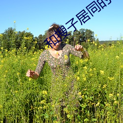 和搜子居同的日子中文