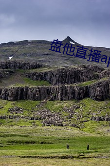 盘他直播app最新下载安装 （软磁盘）