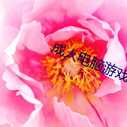 成人电脑游戏 （閒是閒非）