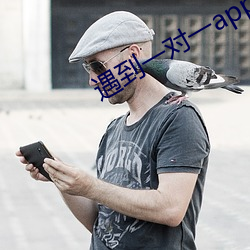 遇到一(yī)对一(yī)app