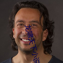 龙(龍)啸(嘯)天(天)下(下)小(小)说免费(費)阅读