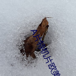 A片特机片欧美