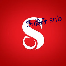 霃欖枒 snb （报考）