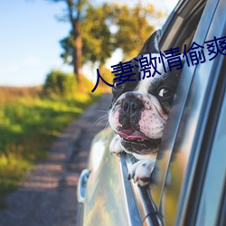 人妻激情偷爽文