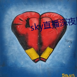 sky直播深夜版 （支队）