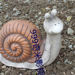 999奇米影(影)视
