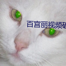 百宫丽视频破解版 （中堂）