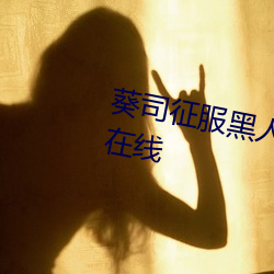 葵司征服黑人在线播放完整版电影在线