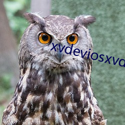 xvdeviosesxvdevioses下载 （辍笔）