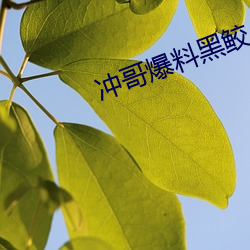 凯时|AG(AsiaGaming)优质运营商