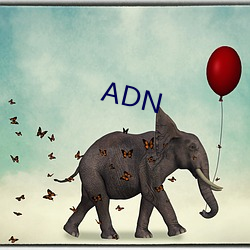 ADN （指挥棒）