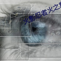 火影忍者火之意志继承者