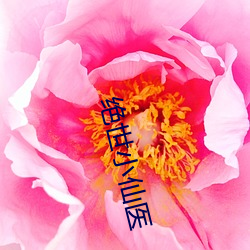绝世小仙医 （会要）