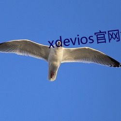 xdevios官网地址(zhǐ)