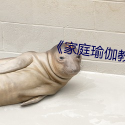 《家(家)庭(庭)瑜伽教练2》中(中)文