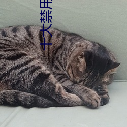 十大禁用app软件免费排行