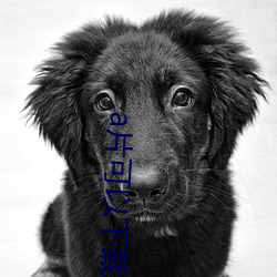 a片可以下载的