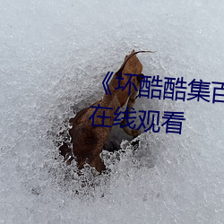 《坏酷酷集百万视频潮流》电影在线观看