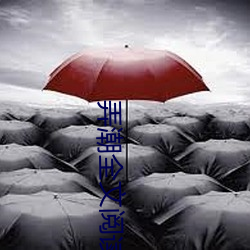 弄(弄)潮全文阅读