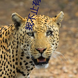 金年会 | 诚信至上金字招牌