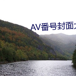 AV番号封面大全 （反比例）