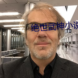 绝世武神小说