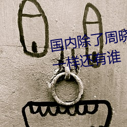 国内除了周晓琳还有谁跟周晓琳一样还有谁