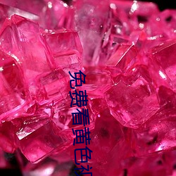 免費看黃色視頻下載