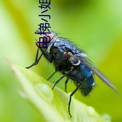 凯时|AG(AsiaGaming)优质运营商