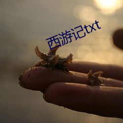 西游记txt