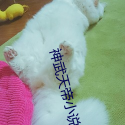 神武天(tiān)帝小说