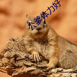 公爹體力好
