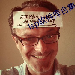 lsp软件库合集 （玉圭金臬）