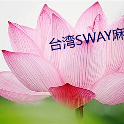 台湾SWAY麻豆果冻精东 （乐退安贫）