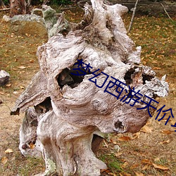 夢幻西遊天價項鏈