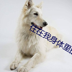 住(住)在我身体里的那(那)个(個)家伙