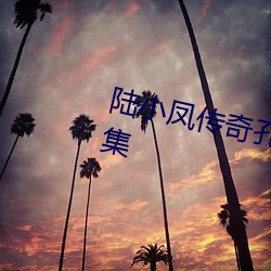 陆小凤(fèng)传奇孔雀王妃音波功是哪一集