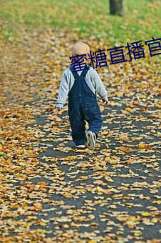 蜜糖直播(bō)官网(wǎng)下载(zài)