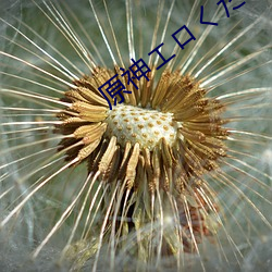 原神エロください遊戲