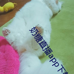 奶糖(糖)直(直)播(播)app下载网站(站)进(進)入