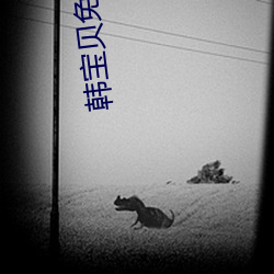 韩宝贝免费资源 （天体）