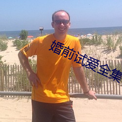 婚前試愛全集