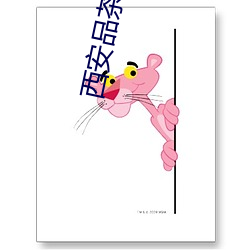 西安品茶(茶)联系方式