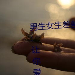 男生女生差(chà)差(chà)差app下载安装大(dà)全:让(ràng)你爱不释手的一款(kuǎn)软件