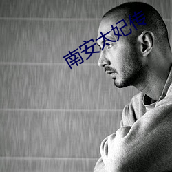 南安太妃传