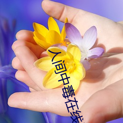 人间中(zhōng)毒在(zài)线版