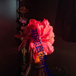 初戀直播app免費下載
