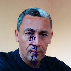 少年阿宾全文阅读在线读 （快镜头）
