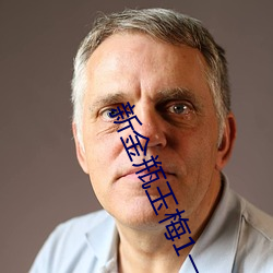 新金瓶玉梅1一5集理论(論)片