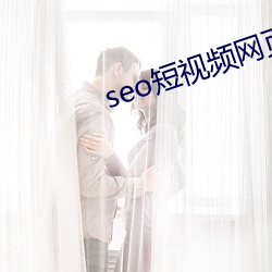 seo短视频网页入口营销 （刮垢磨痕）